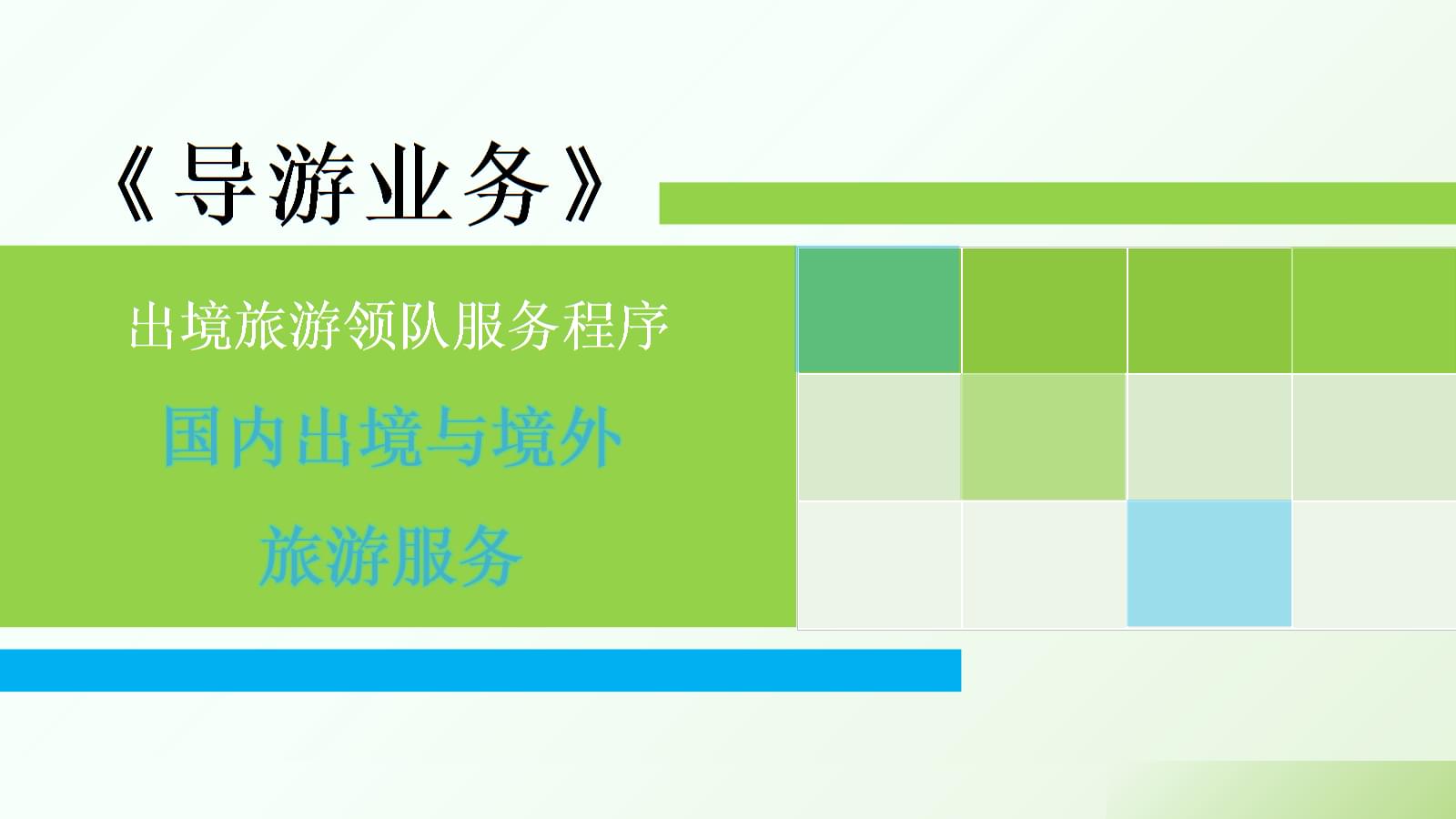導(dǎo)游業(yè)務(wù)精講 國(guó)內(nèi)、出境與境外旅游服務(wù)